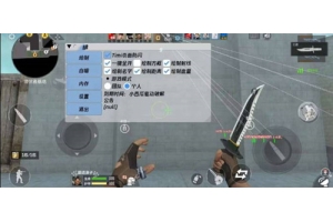 CS2尼戈辅助-CS2四角方框骨骼绘制尼戈插件